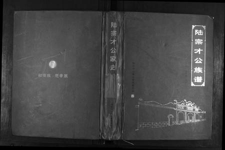 广西陆氏-陆宗才公族谱.pdf电子版缩略图