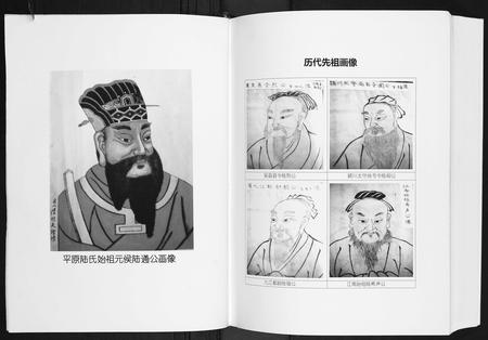 广西陆氏-陆宗才公族谱.pdf电子版预览图3