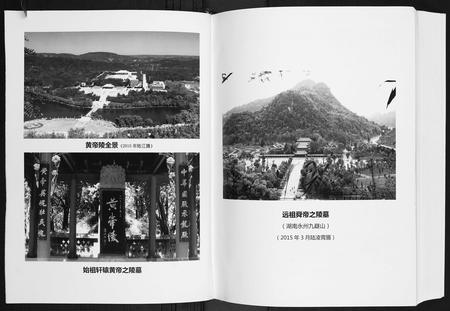 广西陆氏-陆宗才公族谱.pdf电子版预览图4