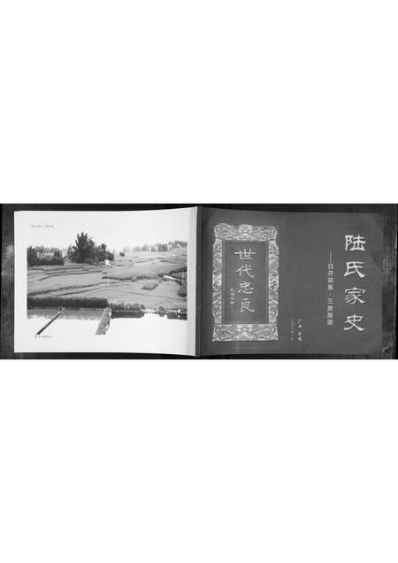 广西陆氏-陆氏家史.pdf电子版缩略图