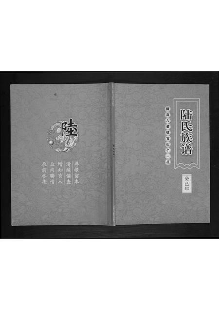 广西陆氏-陆氏族谱.pdf电子版缩略图