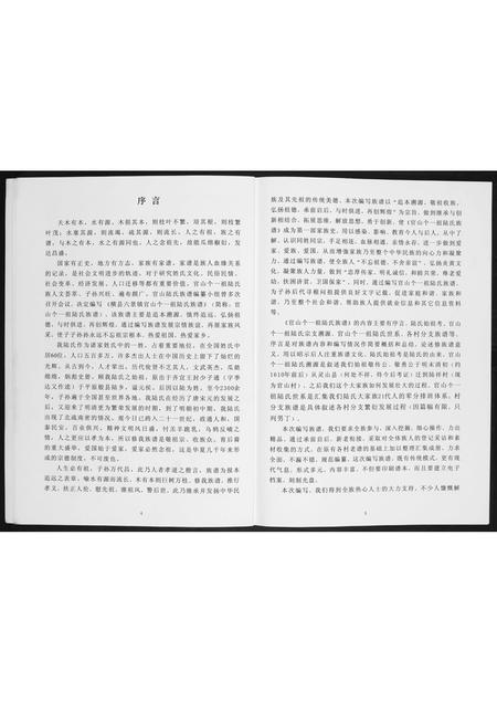 广西陆氏-陆氏族谱.pdf电子版预览图4