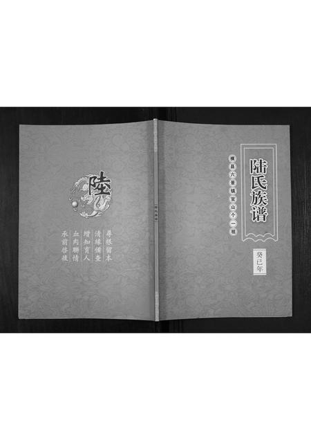 广西陆氏-陆氏族谱.pdf电子版缩略图