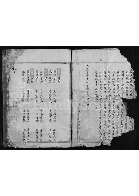 4358.凰岙卢氏宗谱 [不分卷](别名：Huang Ao Lu Shi Zong Pu、凰岙卢氏宗谱).pdf电子版预览图2