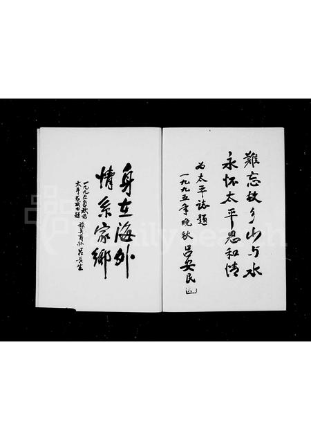 4379.[吕氏]太平志(别名：太平志).pdf电子版预览图3