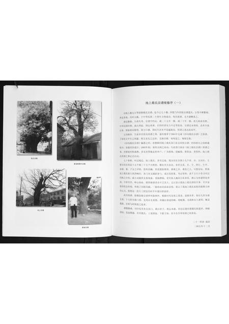 山东鹿氏-池上鹿氏宗谱.pdf电子版预览图5