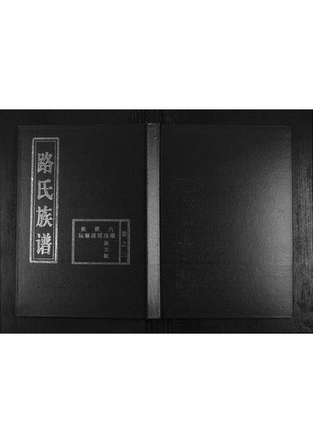 山东路氏-路氏族谱.pdf电子版缩略图