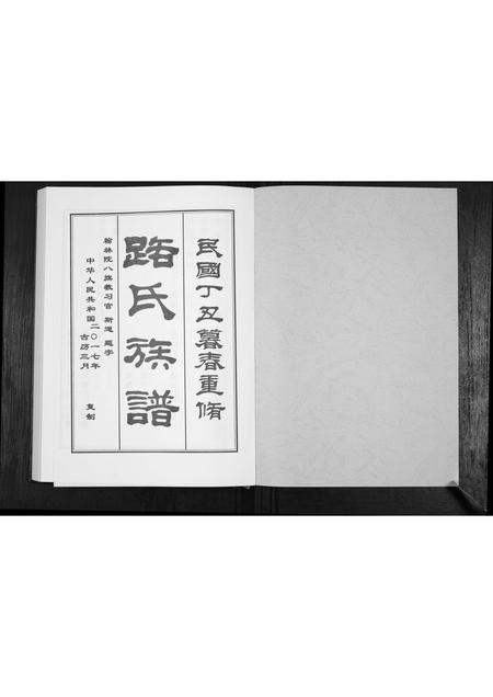 山东路氏-路氏族谱.pdf电子版预览图1