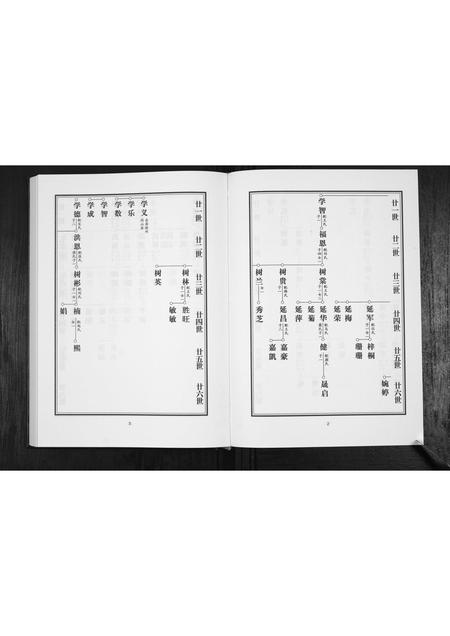 山东路氏-路氏族谱.pdf电子版预览图3