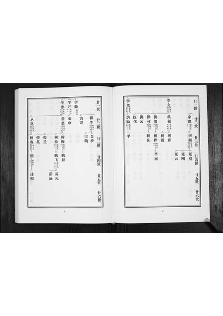 山东路氏-路氏族谱.pdf电子版预览图4