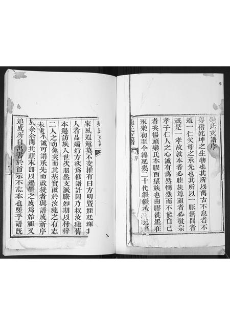 山东栾氏-栾氏支谱.pdf电子版预览图1