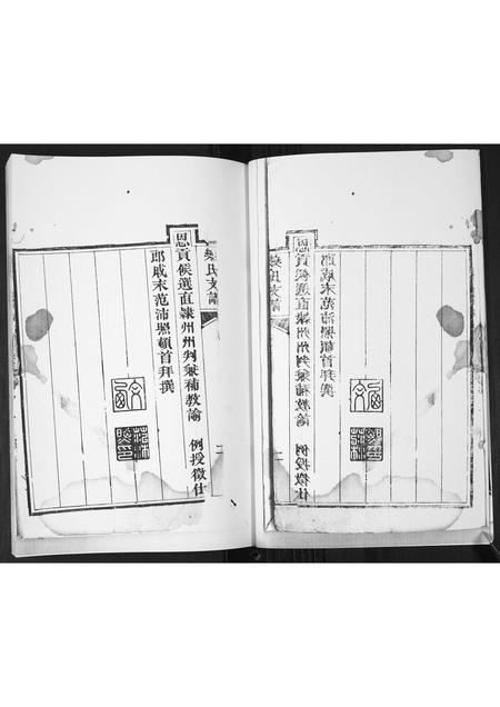 山东栾氏-栾氏支谱.pdf电子版预览图3