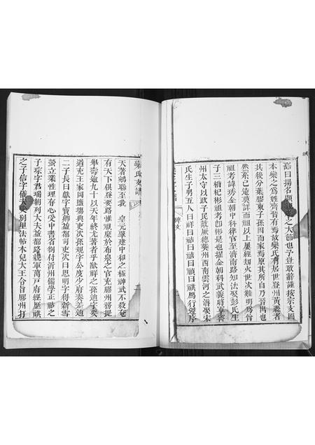 山东栾氏-栾氏支谱.pdf电子版预览图5