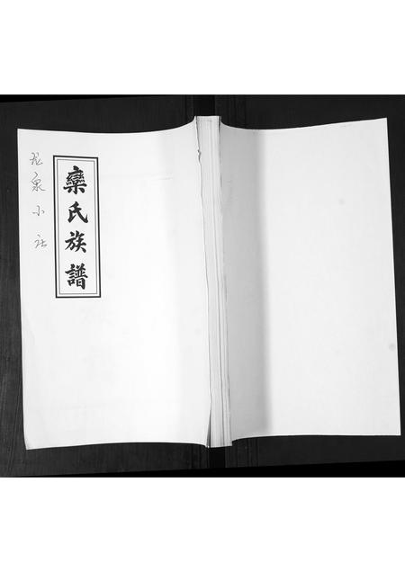 山东栾氏-栾氏族谱.pdf电子版缩略图