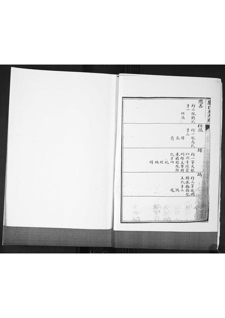 山东栾氏-栾氏族谱.pdf电子版预览图2