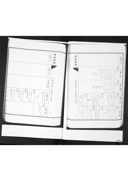 山东栾氏-栾氏族谱.青岛杨埠寨(续修)[2册].pdf电子版预览图4