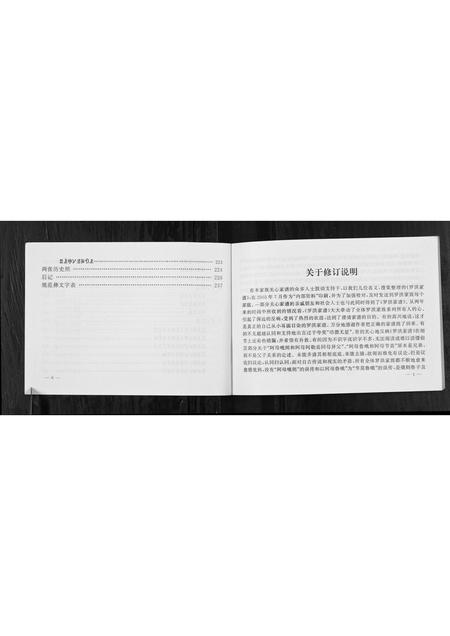 四川罗洪氏-罗洪家谱修订本[不分卷].pdf电子版预览图5