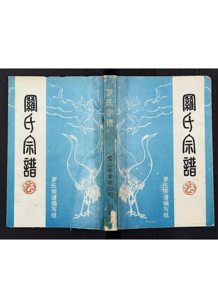 四川罗氏-营山罗氏宗谱[不分卷].pdf电子版缩略图