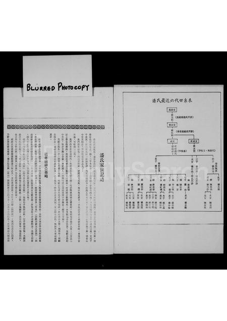 4417.潘氏家世.pdf电子版预览图4