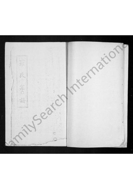 四川罗氏-罗氏宗谱.pdf电子版预览图3