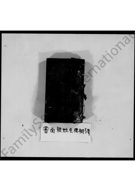 四川罗氏-罗氏族谱.pdf电子版预览图2