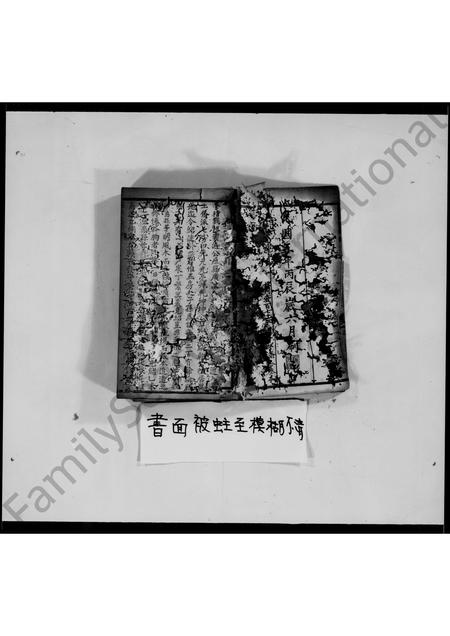 四川罗氏-罗氏族谱.pdf电子版预览图3