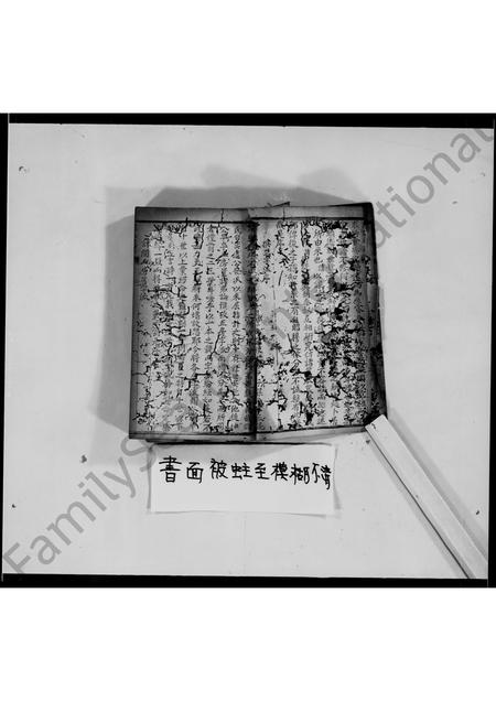 四川罗氏-罗氏族谱.pdf电子版预览图4