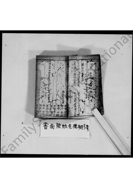 四川罗氏-罗氏族谱.pdf电子版预览图5