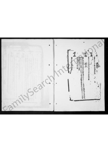 四川罗氏-罗氏族谱 [8卷](别名：罗氏善庆祠族谱).pdf电子版预览图2