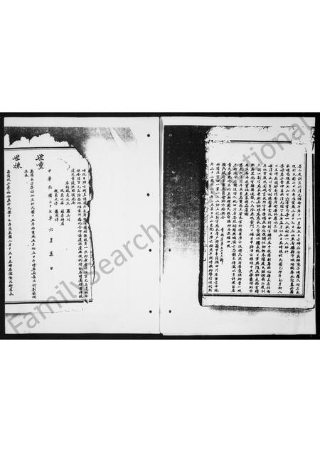 四川罗氏-罗氏族谱 [8卷](别名：罗氏善庆祠族谱).pdf电子版预览图4