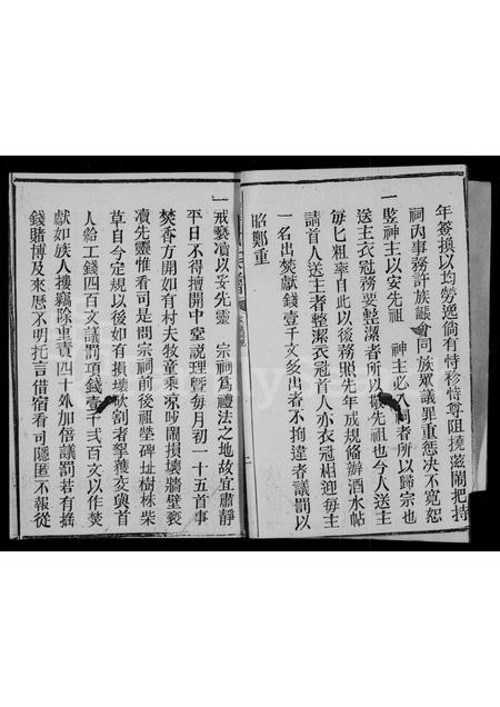 四川罗氏-罗氏族谱 [残卷].pdf电子版预览图5