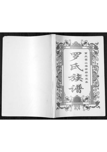 四川罗氏-罗氏族谱[不分卷].pdf电子版缩略图