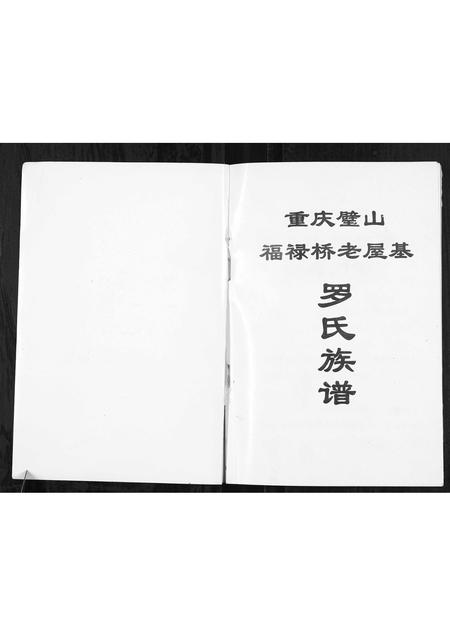 四川罗氏-罗氏族谱[不分卷].pdf电子版预览图1