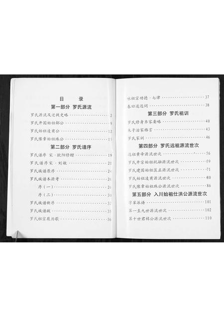 四川罗氏-罗氏族谱[不分卷].pdf电子版预览图4