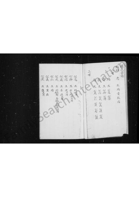 山西罗氏-罗氏家谱.pdf电子版预览图5