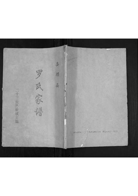 山西罗氏-罗氏家谱[不分卷].pdf电子版缩略图