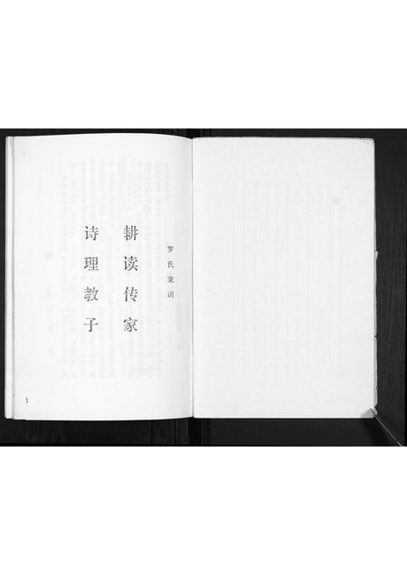 山西罗氏-罗氏家谱[不分卷].pdf电子版预览图2