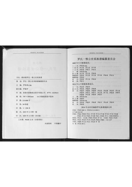 广西罗氏-潭承塘罗氏一惟公世系族谱.pdf电子版预览图2