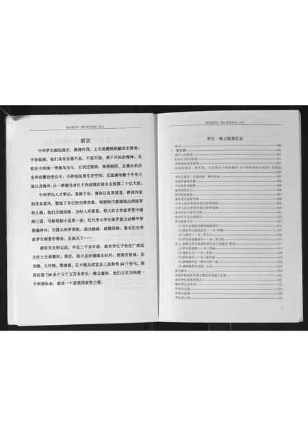 广西罗氏-潭承塘罗氏一惟公世系族谱.pdf电子版预览图3