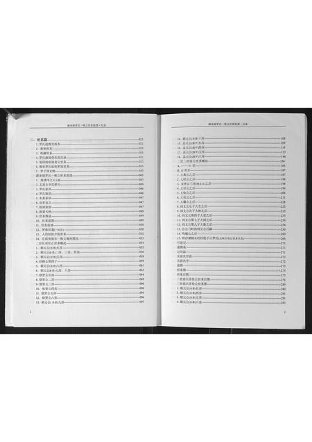 广西罗氏-潭承塘罗氏一惟公世系族谱.pdf电子版预览图4