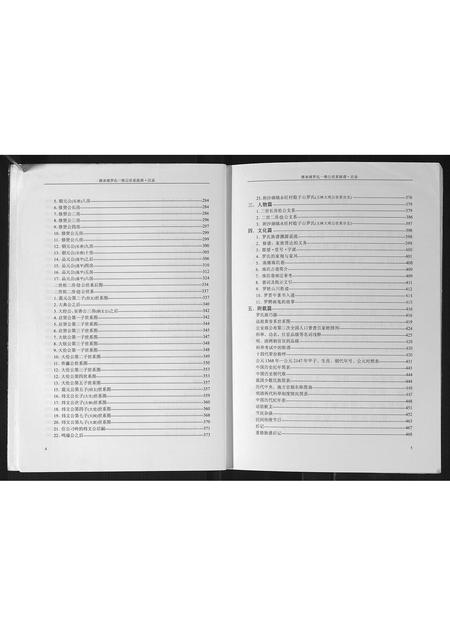 广西罗氏-潭承塘罗氏一惟公世系族谱.pdf电子版预览图5