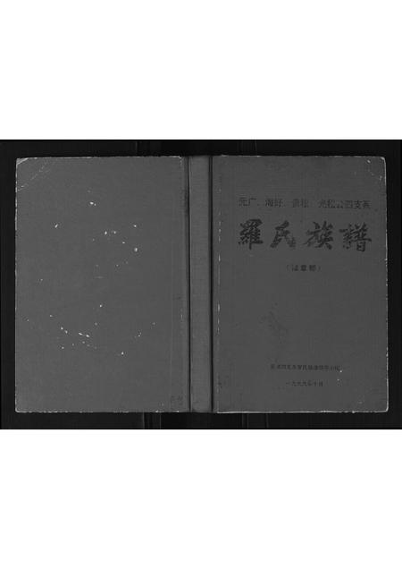 广西罗氏-罗氏族谱.pdf电子版缩略图