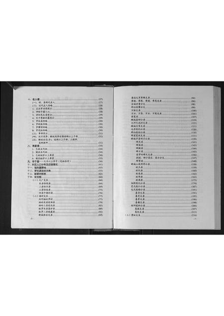 广西罗氏-罗氏族谱.pdf电子版预览图3