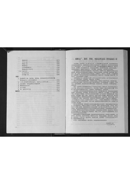 广西罗氏-罗氏族谱.pdf电子版预览图4