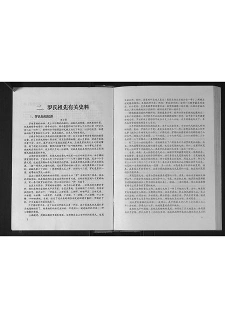 广西罗氏-罗氏族谱.pdf电子版预览图5