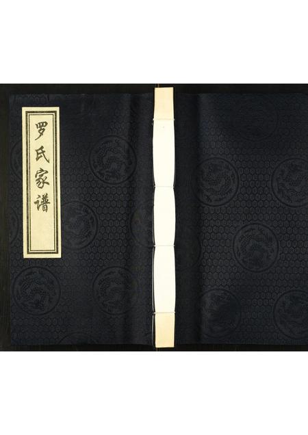 河北罗氏-罗氏家谱.pdf电子版缩略图