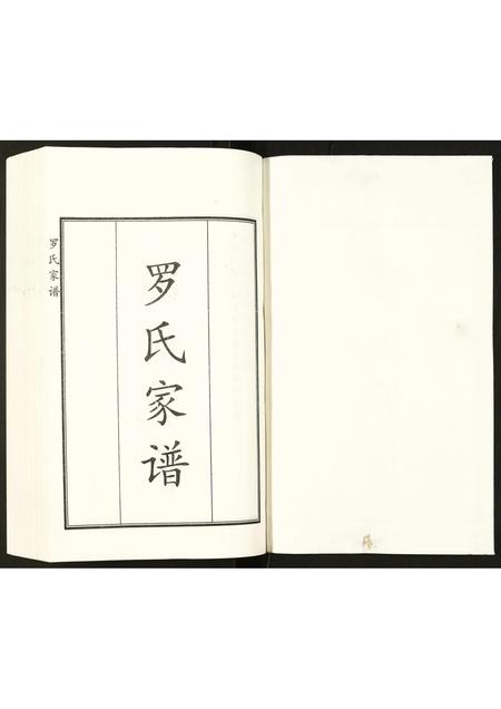 河北罗氏-罗氏家谱.pdf电子版预览图1