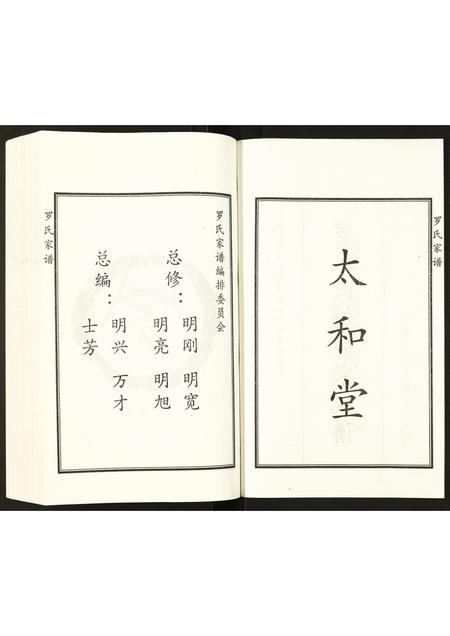 河北罗氏-罗氏家谱.pdf电子版预览图3