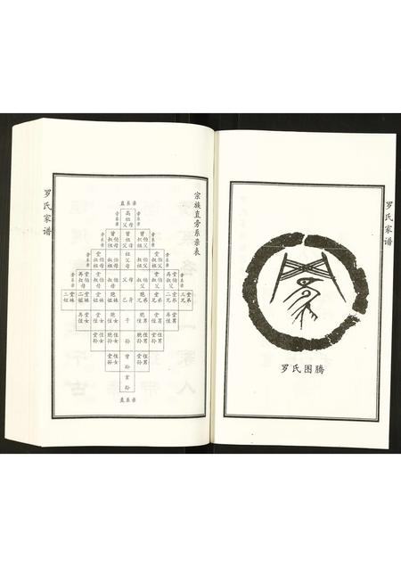 河北罗氏-罗氏家谱.pdf电子版预览图4