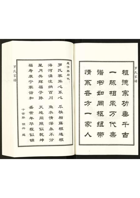 河北罗氏-罗氏家谱.pdf电子版预览图5